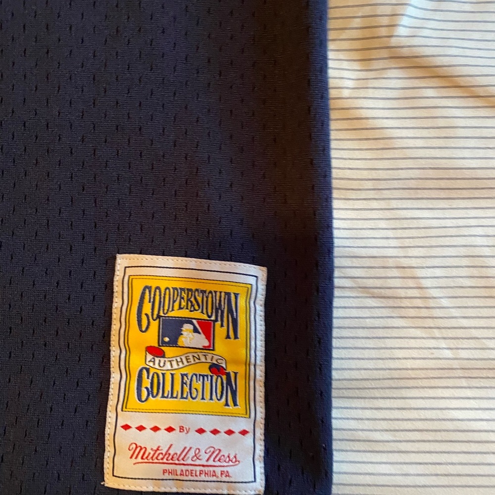 Detroit tigers Jersey